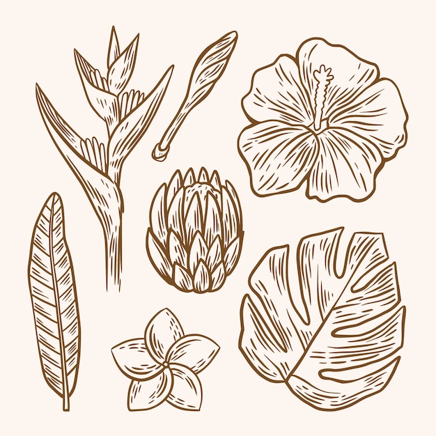 Tropical outline flower and leaf pack
