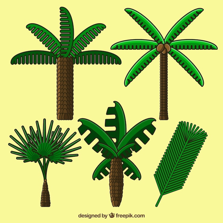 Free Vector tropical palm trees