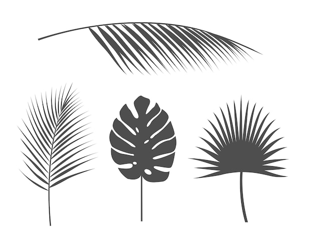 熱帯​の​ヤシ​、​熱帯​の​葉​、​シルエット​の​セット​。​植物​の​孤立した​ベクトル​要素