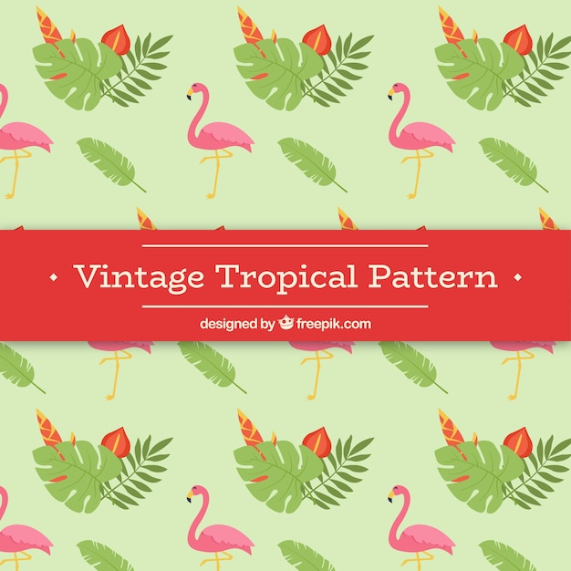 Free vector tropical pattern in vintage style
