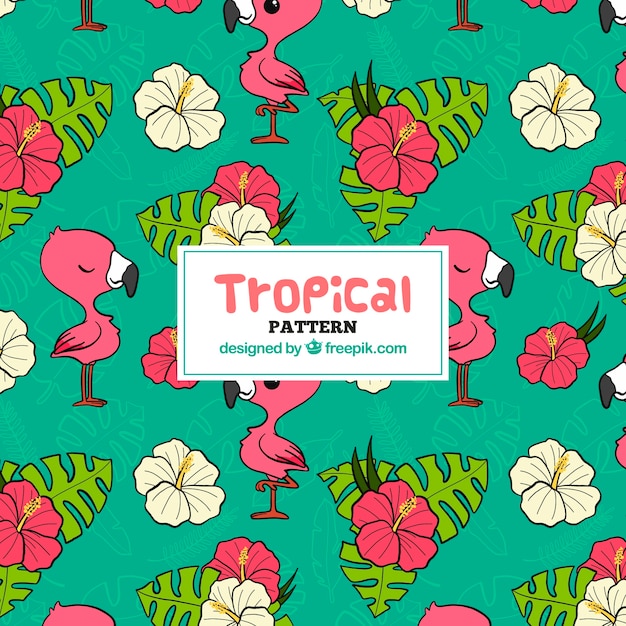 Free vector tropical pattern with leaves and flamingos