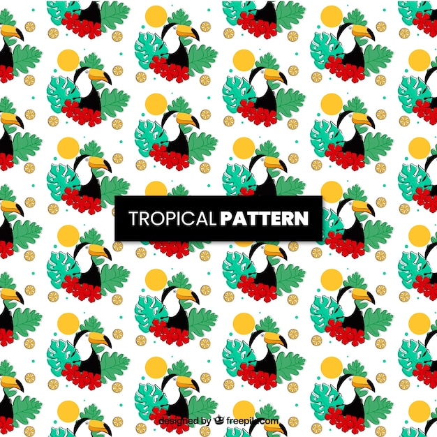 Free vector tropical pattern with pelican