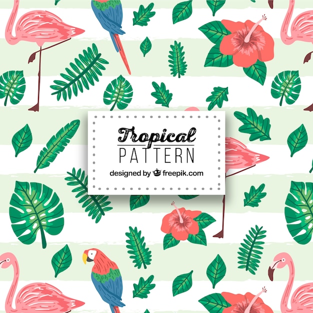  tropical pattern with plants and birds