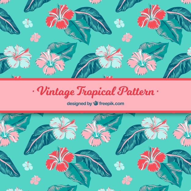 Free vector tropical pattern with plants in vintage style