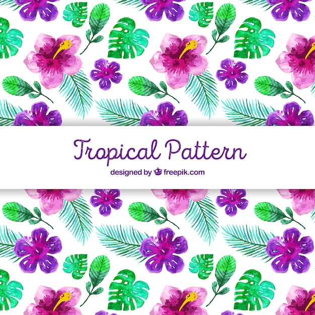 Tropical pattern with watercolor flowers