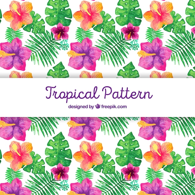 Vettore gratuito modello tropicale con fiori ad acquerelli