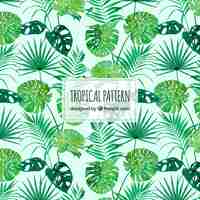 Free vector tropical pattern with watercolor leaves