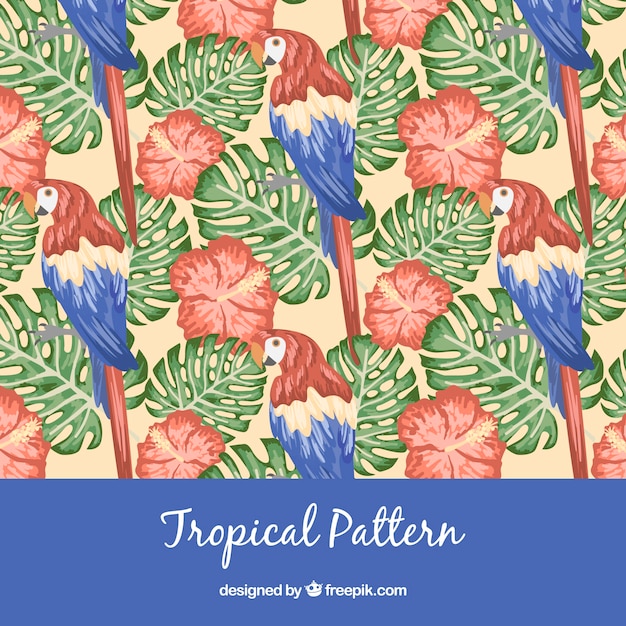 Free vector tropical pattern