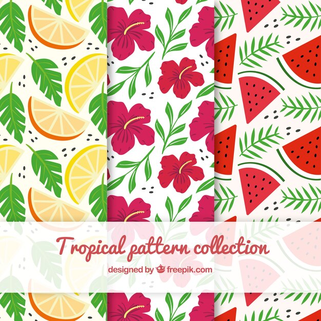 Коллекция тропических узоров с цветами и фруктами