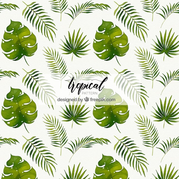 Free vector tropical patterns with different plants in watercolor style