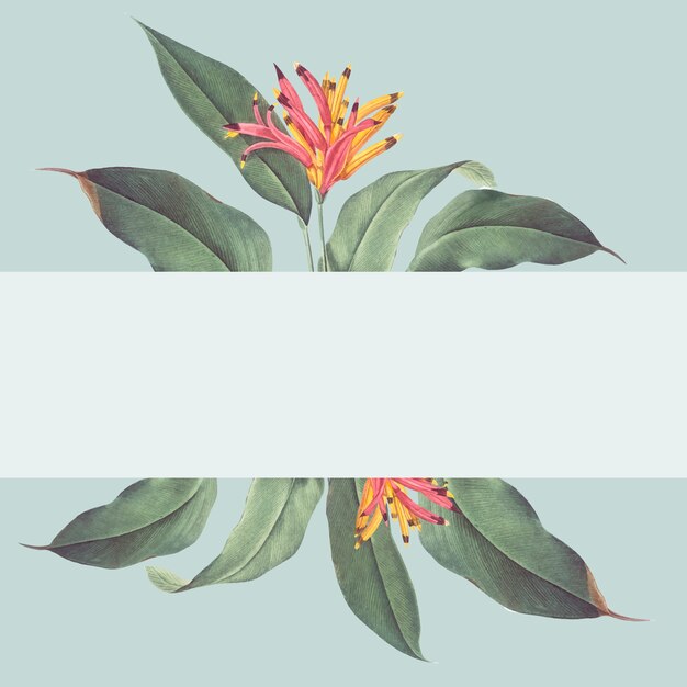 Tropical plant mockup illustration