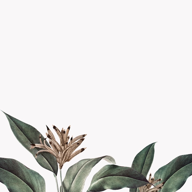 Tropical plant mockup illustration