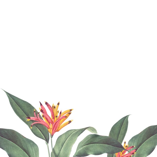 Tropical plant mockup illustration