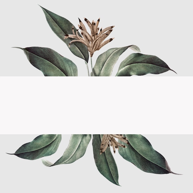 Free vector tropical plant mockup illustration