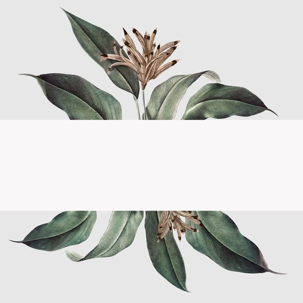 Tropical plant mockup illustration