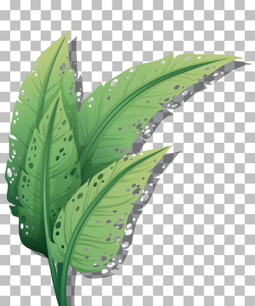Clipart Green Leaf Logo Icon  Free Images at  - vector clip art  online, royalty free & public domain