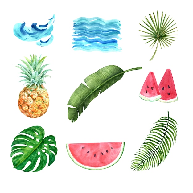 Tropical plant watercolor creative element, design vector illustration.