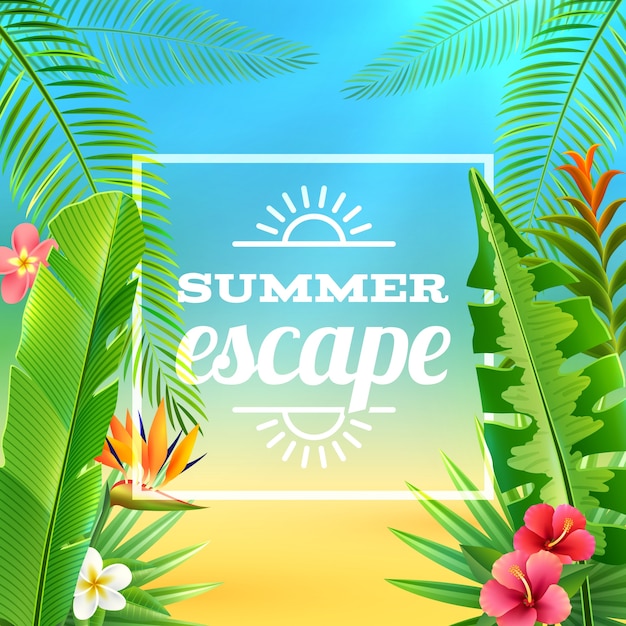 Tropical Plants Background