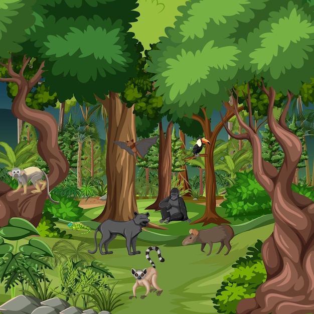 Tropical rainforest scene with various wild animals