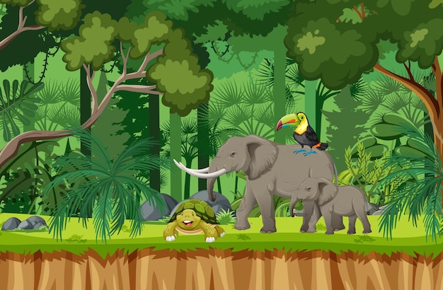 Tropical rainforest scene with various wild animals