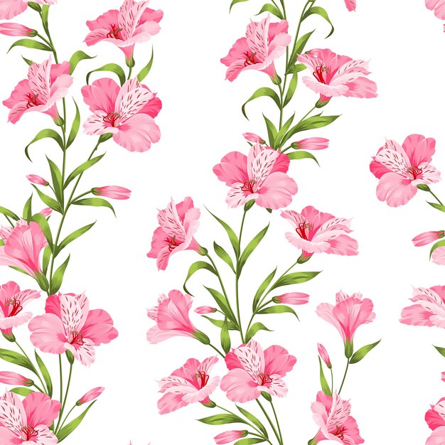 Tropical seamless pattern. Blooming alstroemeria on white background.