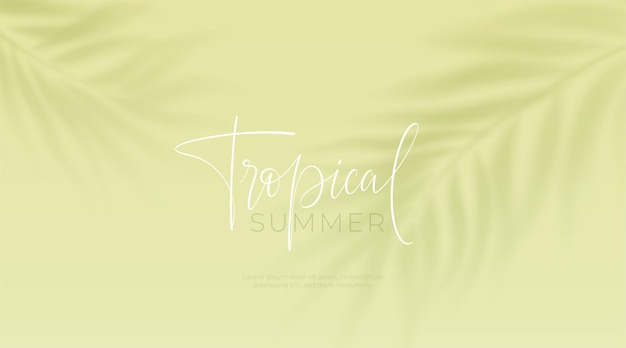 Free vector tropical shadow overlay