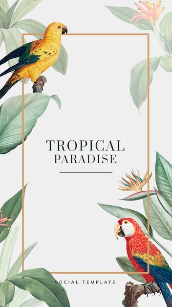 Tropical social story template