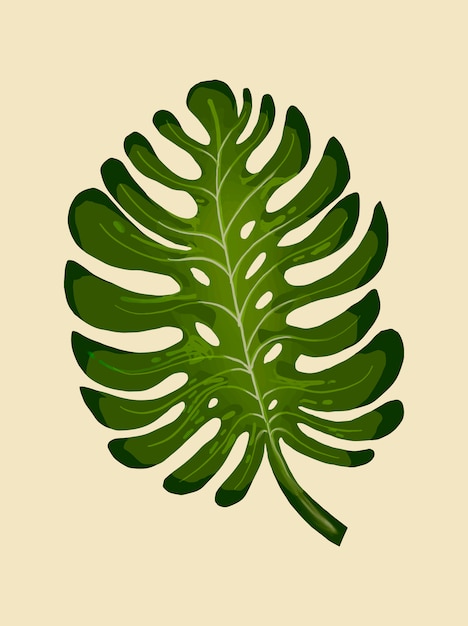 Tropical split leaf philodendron illustration