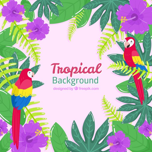 Tropical summer background with birds and plants