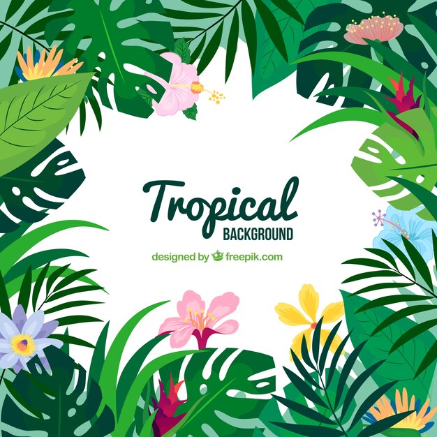 Tropical summer background with colorful flowers