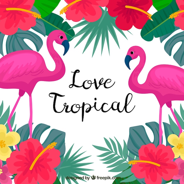 Tropical summer background with flamingos and colorful flowers