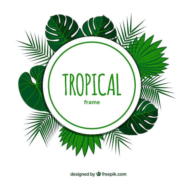 Tropical summer background with leaves and frame