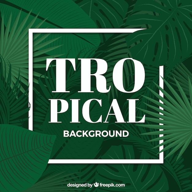 Free vector tropical summer background with nature