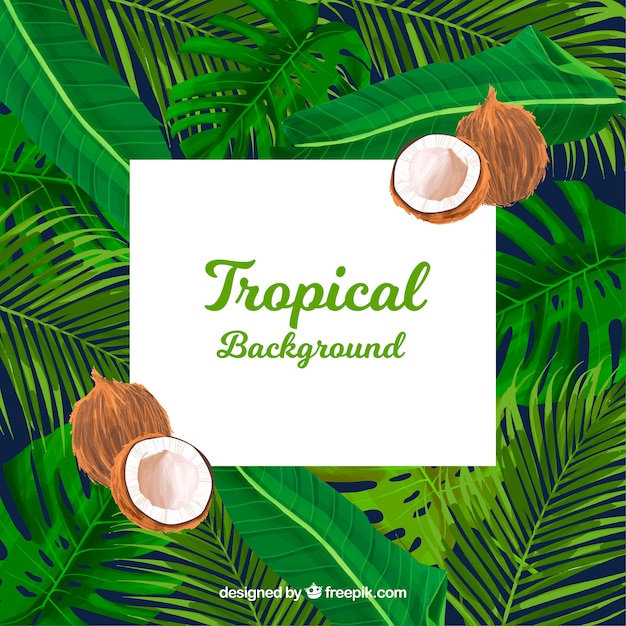 Бесплатное векторное изображение Тропический летний фон с растениями и кокосами