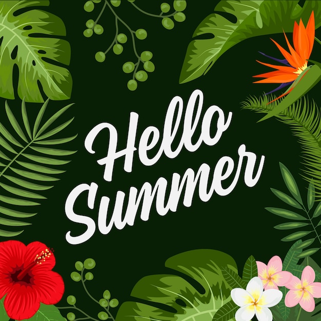 Tropical summer background