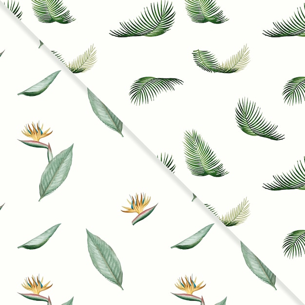 Tropical summer pattern collection