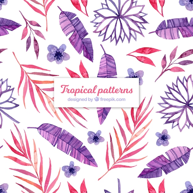 Бесплатное векторное изображение Тропический летний узор с разными листьями в аквареле