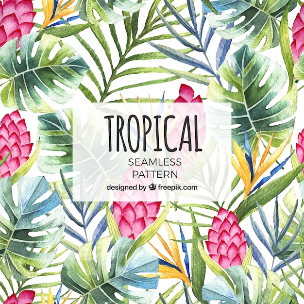 Tropical summer pattern with watercolor plants