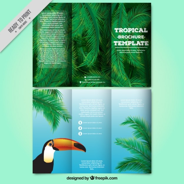 Tropical trifold with a toucan and palm leaves