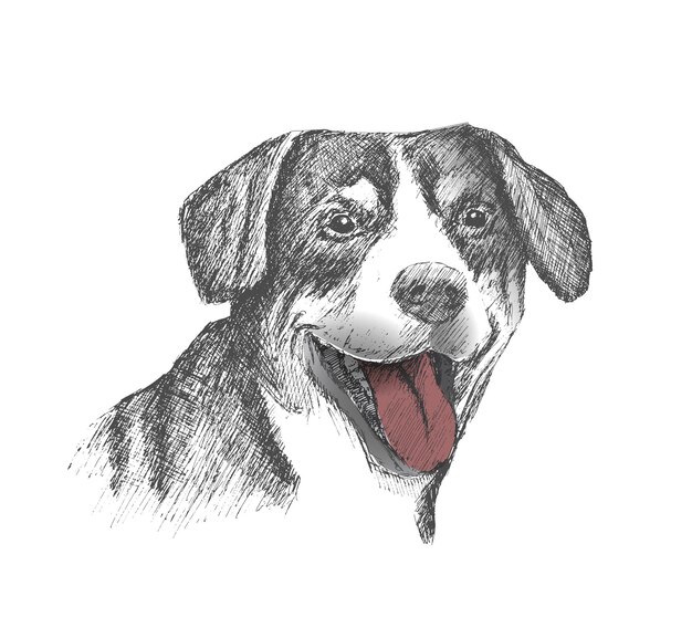 白い背景の上の犬の手描きスケッチのTシャツデザインの顔