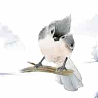 Free vector tufted titmouse bird in wintertime watercolor vector