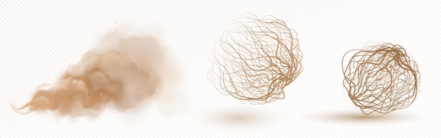 Free vector tumbleweed dry weed ball and brown dust clouds isolated on transparent