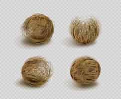 Free vector tumbleweed dry weed ball isolated on transparent