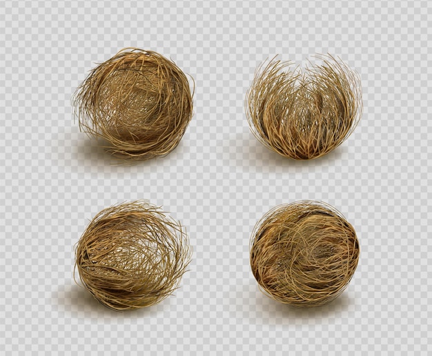 Tumbleweed dry weed ball isolated on transparent