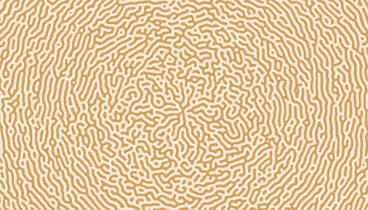 Free Vector turing organic spiral circular shapes pattern background vector illustration