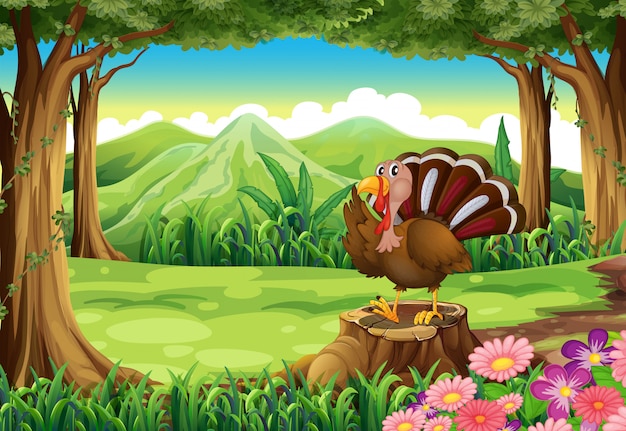 A turkey at the forest