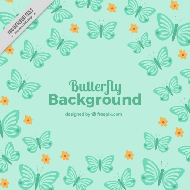 Free Vector turquoise butterflies background