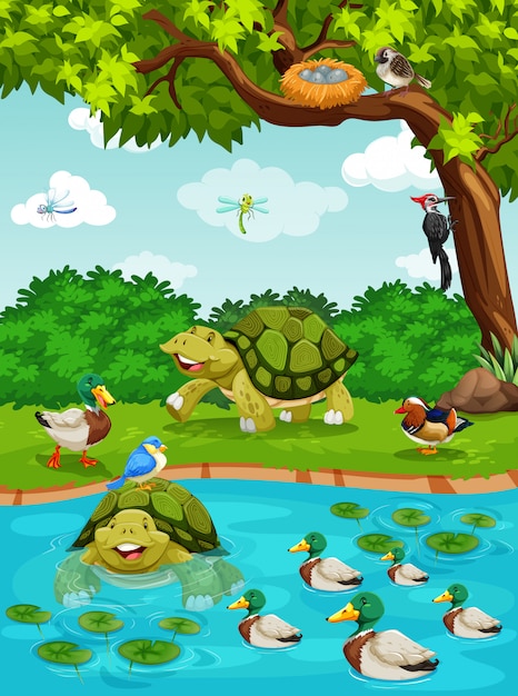 Free vector turtles and ducks at the river