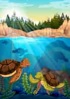 Free vector turtles swimming under the ocean