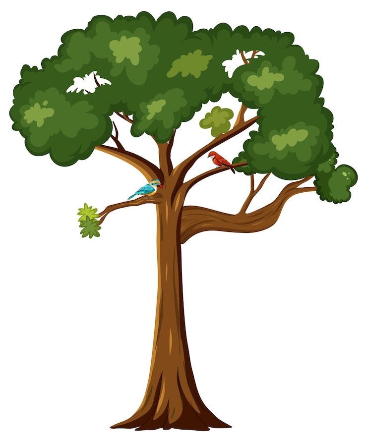 Free Vector two birds on big tree